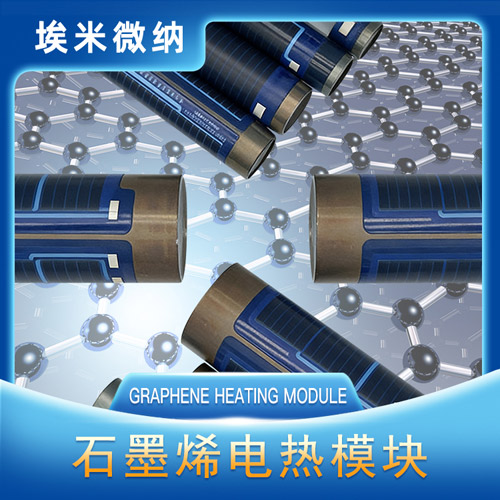 ʯīϩ����ģ��